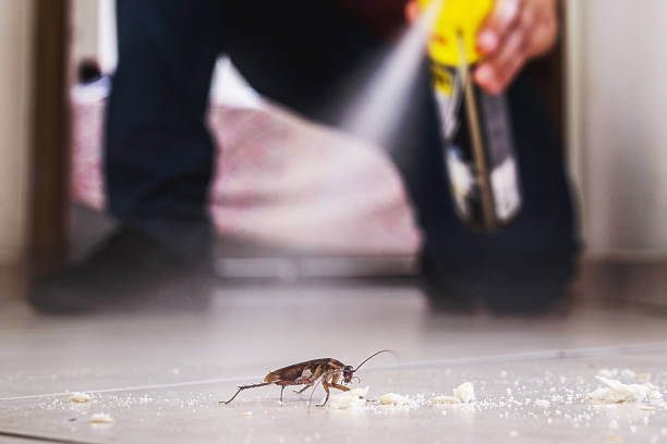 Professional Pest Control in Reedsport, OR